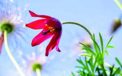 KRĄG MOCY – DUCH ZESPOŁU / WIDZĘ 16.03.2025