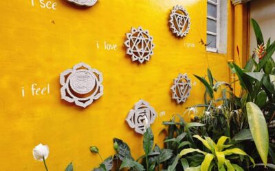 KRĄG MOCY – RÓWNOWAGA ŻYWIOŁÓW – 19.04.2026